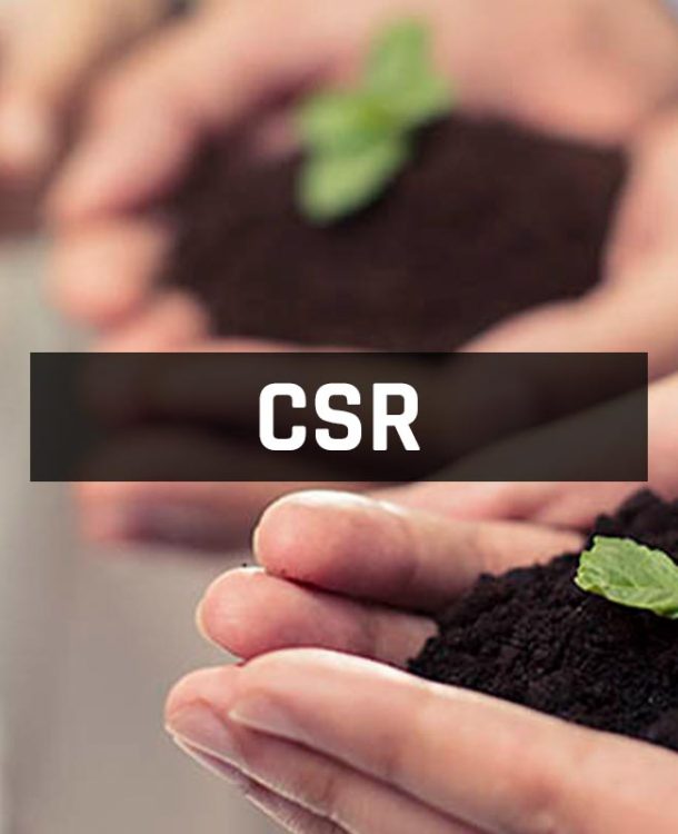 IRIS Group CSR activities